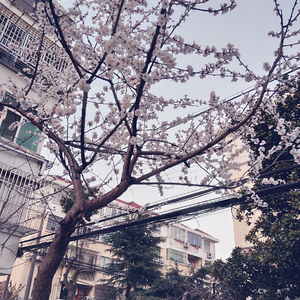 极度强奸三级片
